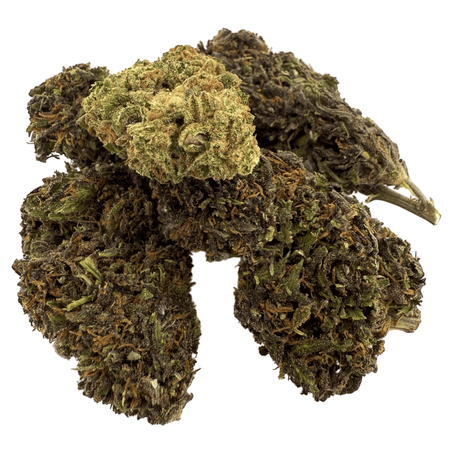 DOBLE GALLETA - FLOR DE CBD ORGÁNICO