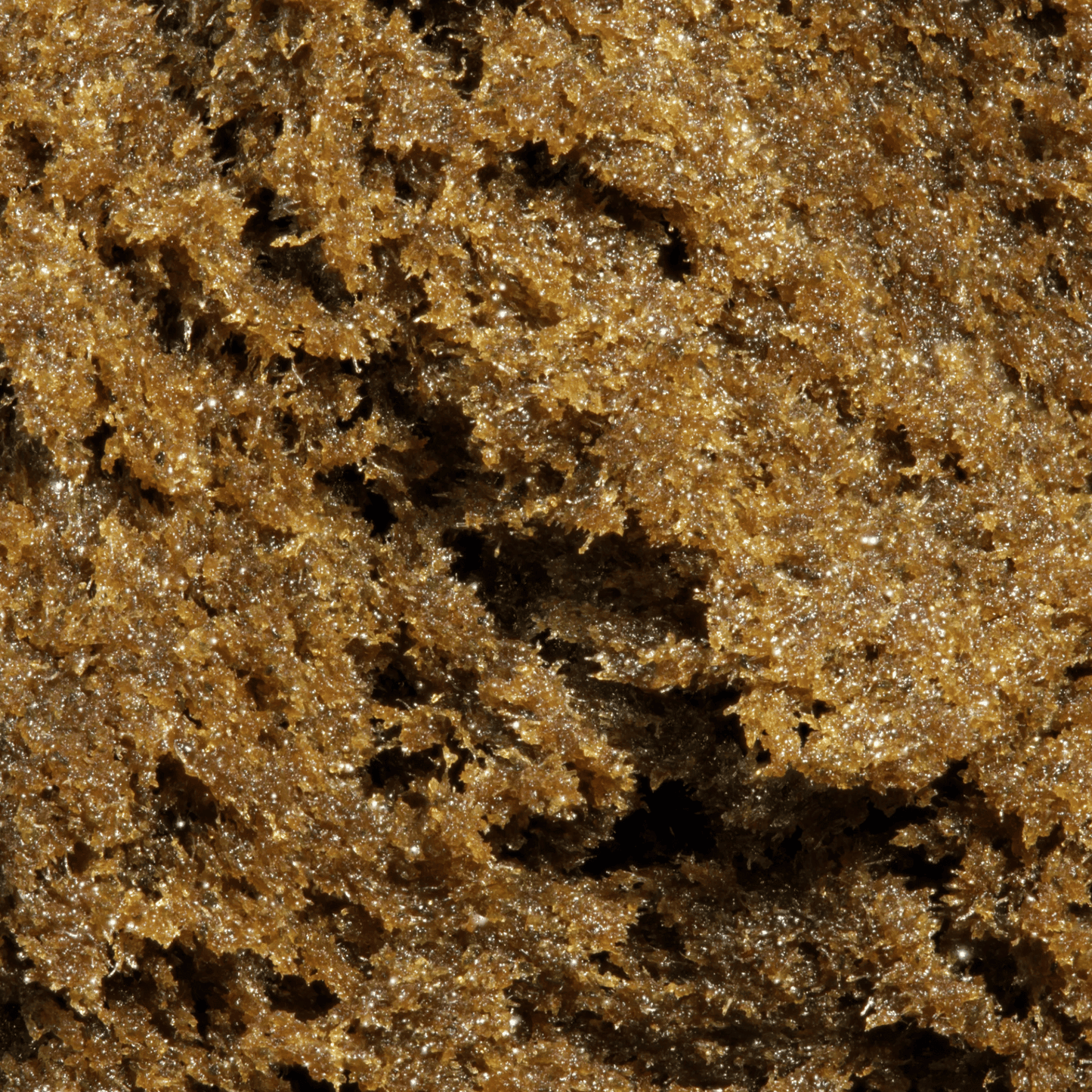 ASH73 – CBD-Harz (AFGHANISCH)