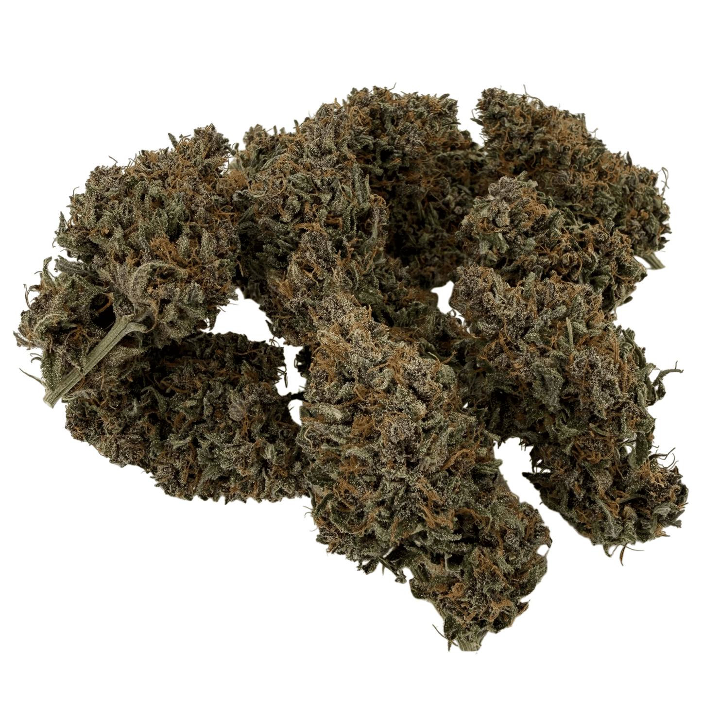 AKATSUKI - FLEUR DE CBD - INDOOR