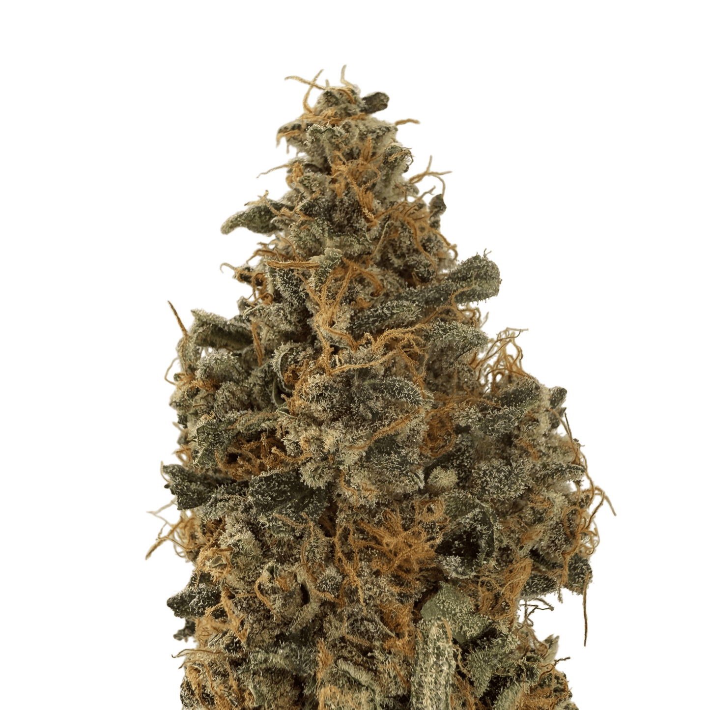 BANANA YAK - FLEUR DE CBD - INDOOR