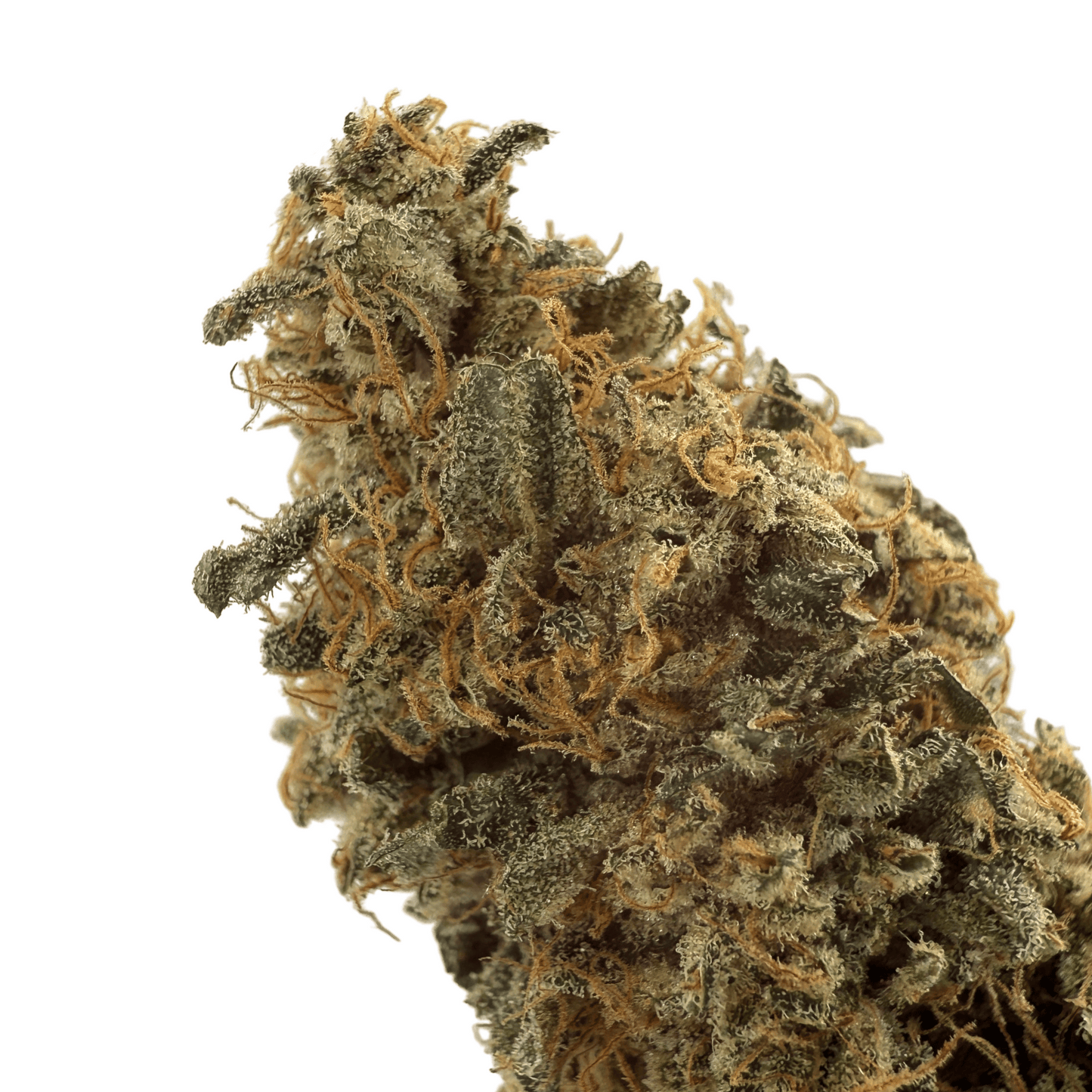 BANANA YAK - FLEUR DE CBD - INDOOR