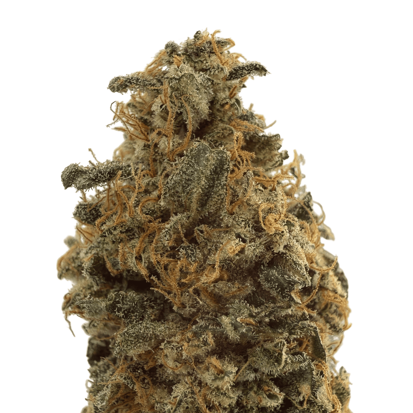 BANANA YAK - FLEUR DE CBD - INDOOR