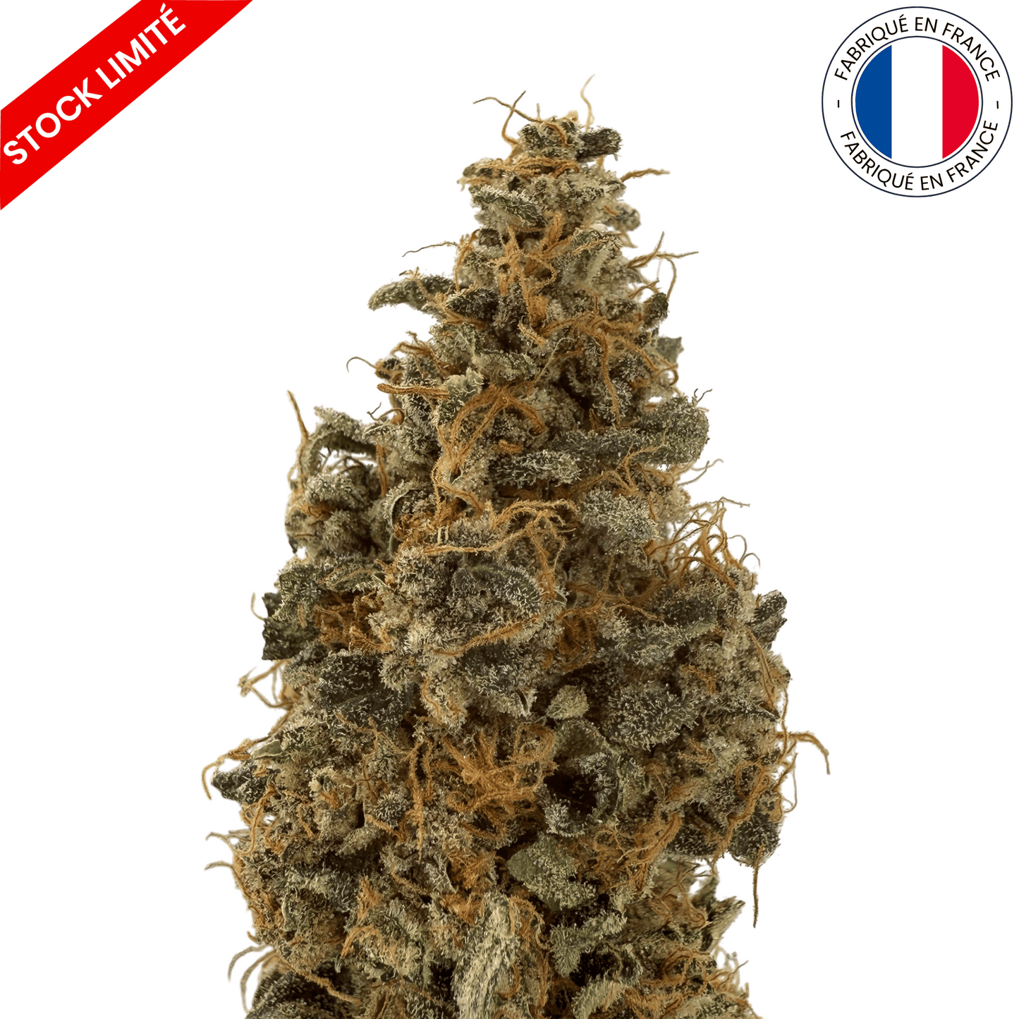 Banana Yak - Fleur de CBD Indoor (Amour de Chanvre)