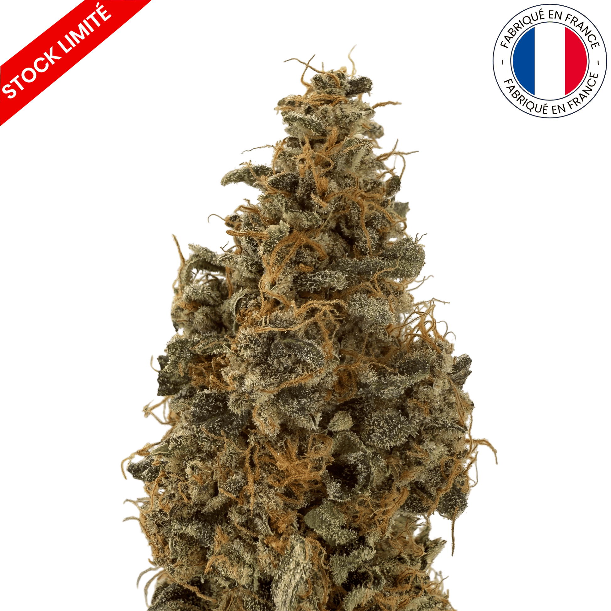 Banana Yak - Fleur de CBD Indoor (Amour de Chanvre)