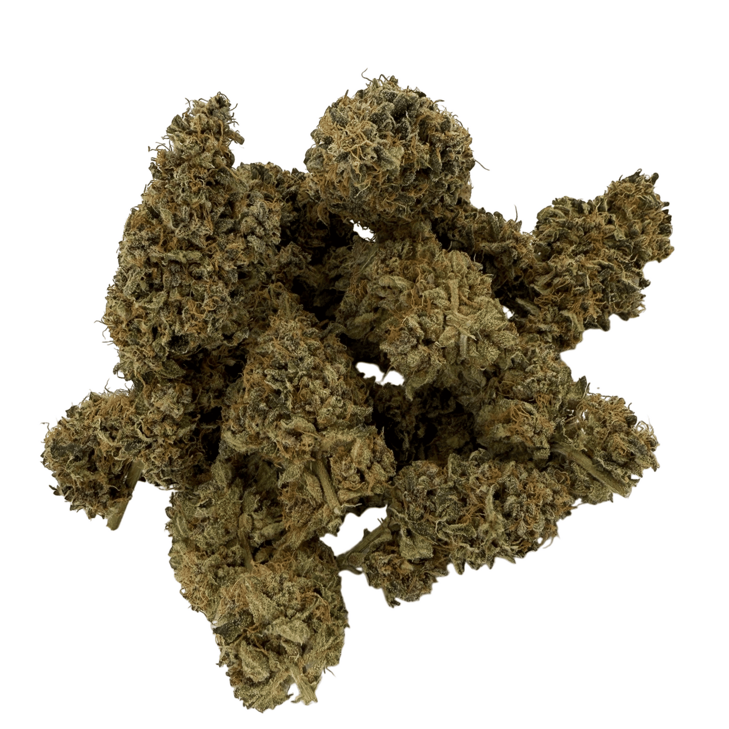 BANANA YAK - FLEUR DE CBD - INDOOR