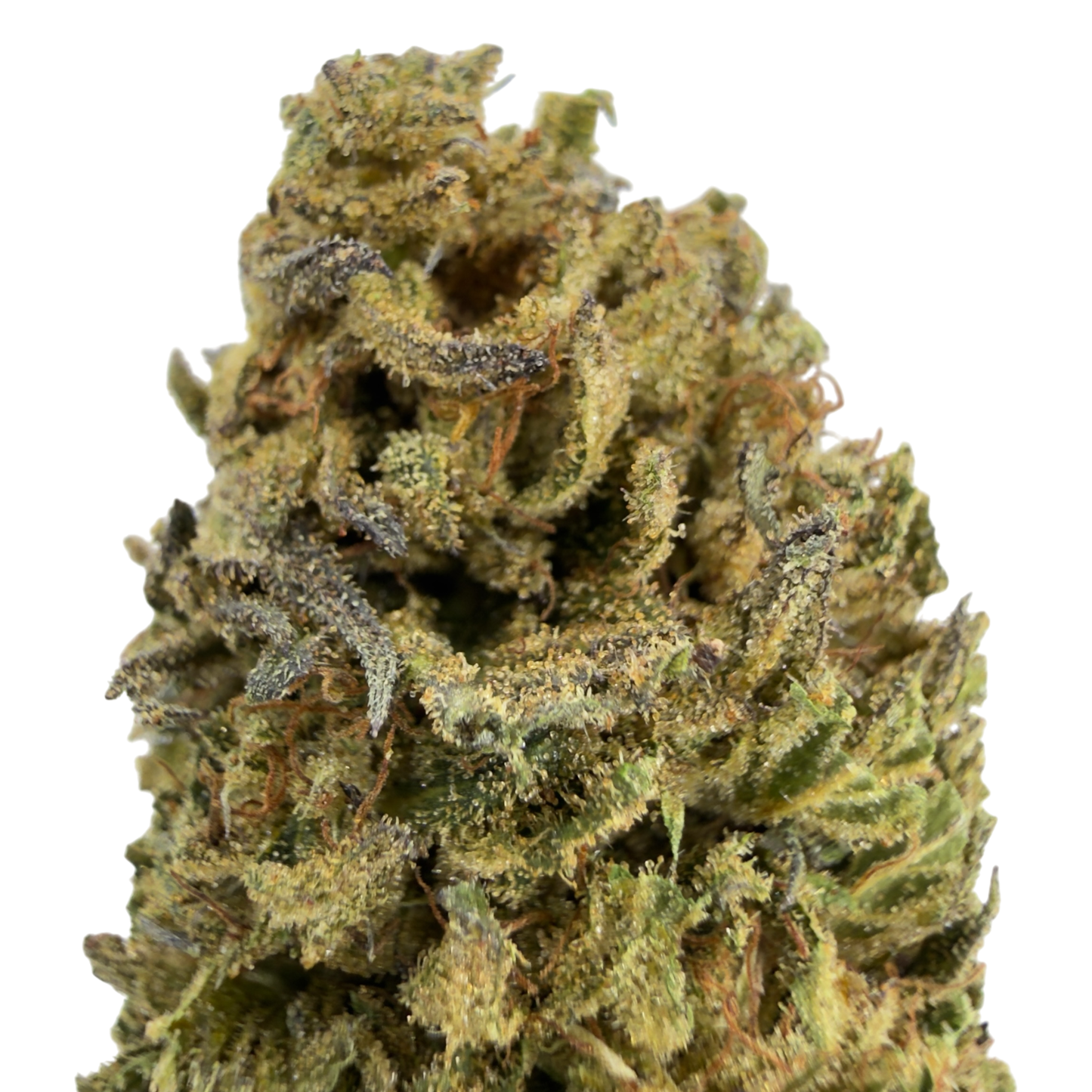 BLOOD ORANGE - FLEUR DE CBD ORGANIQUE