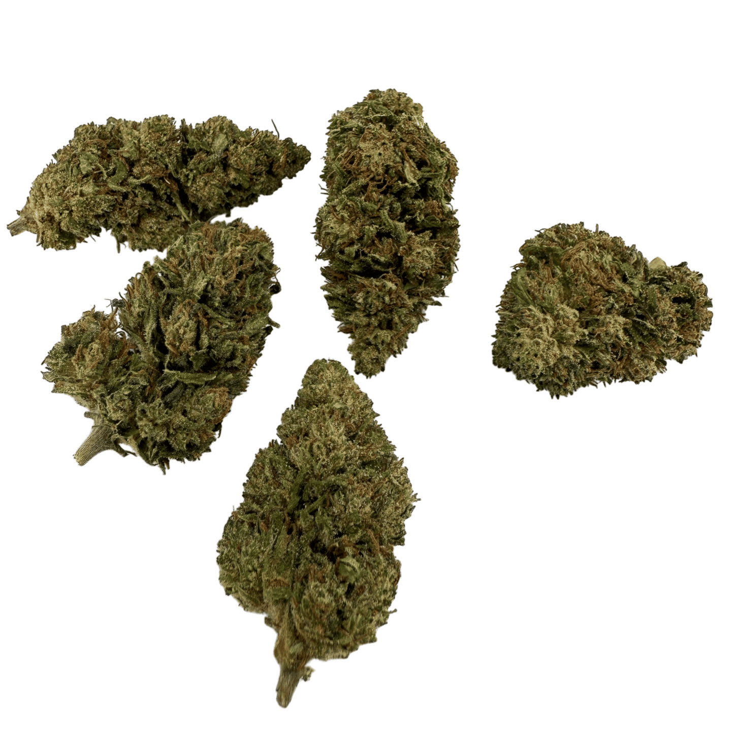 FORBIDDEN V – BIO-CBDV-BLÜTE