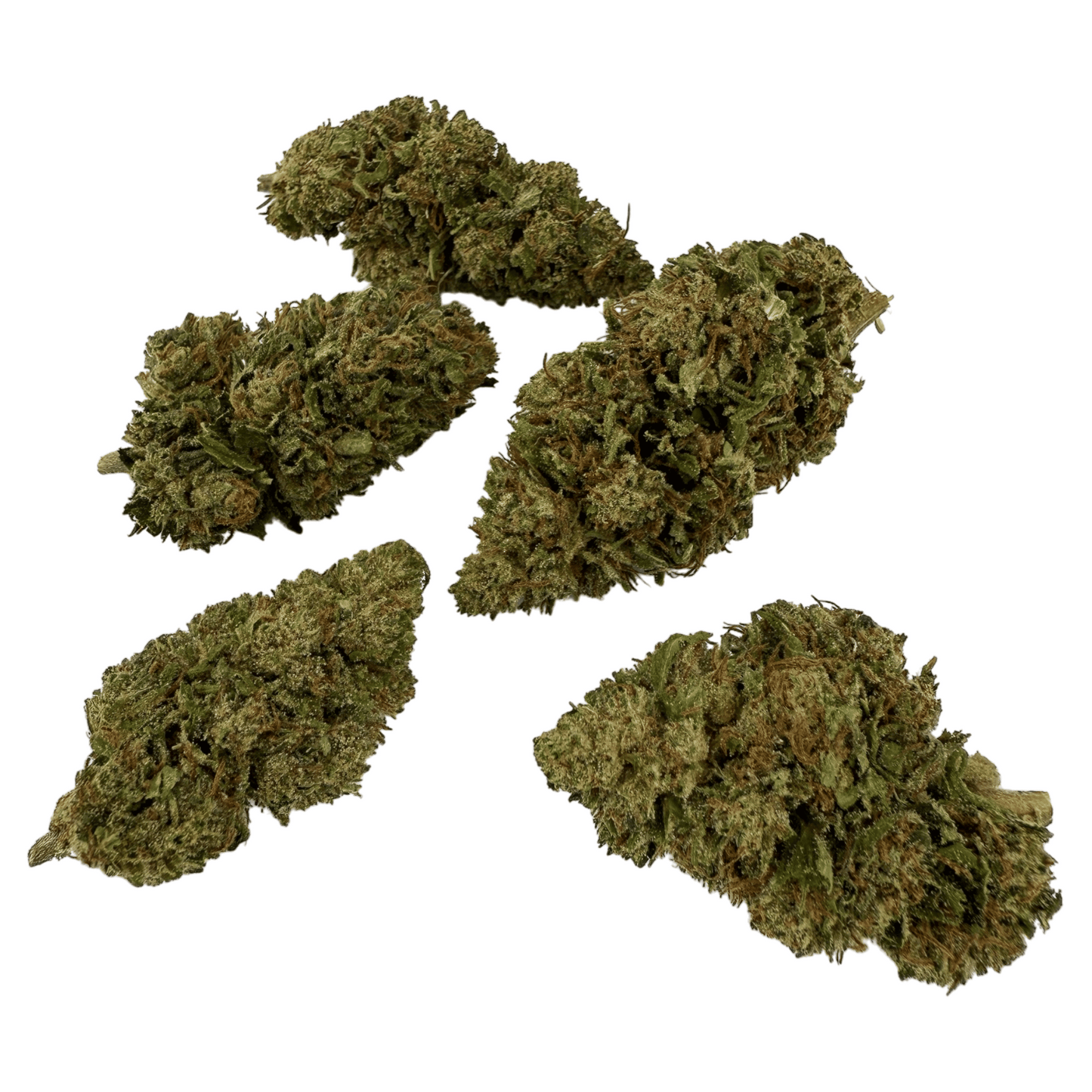 FORBIDDEN V – BIO-CBDV-BLÜTE