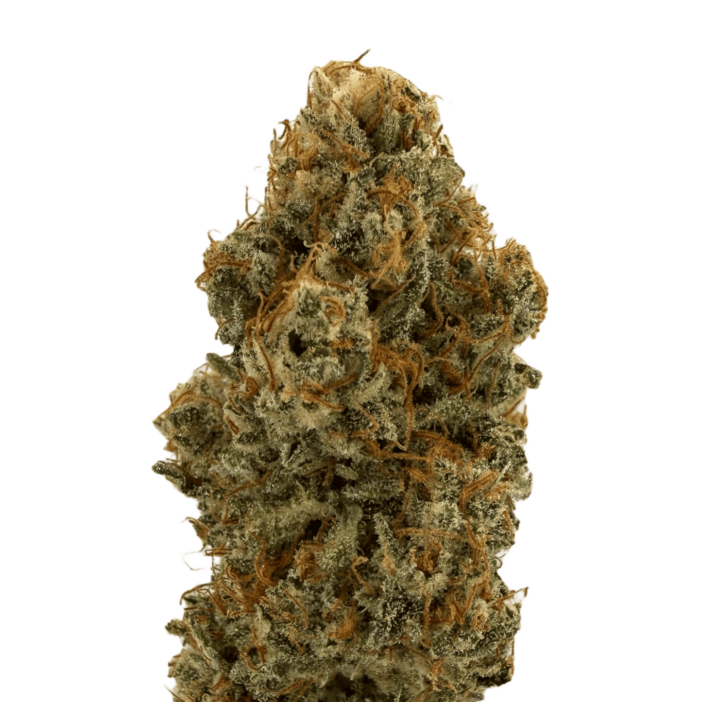 FRUIT DU DÉMON - FLEUR DE CBD INDOOR