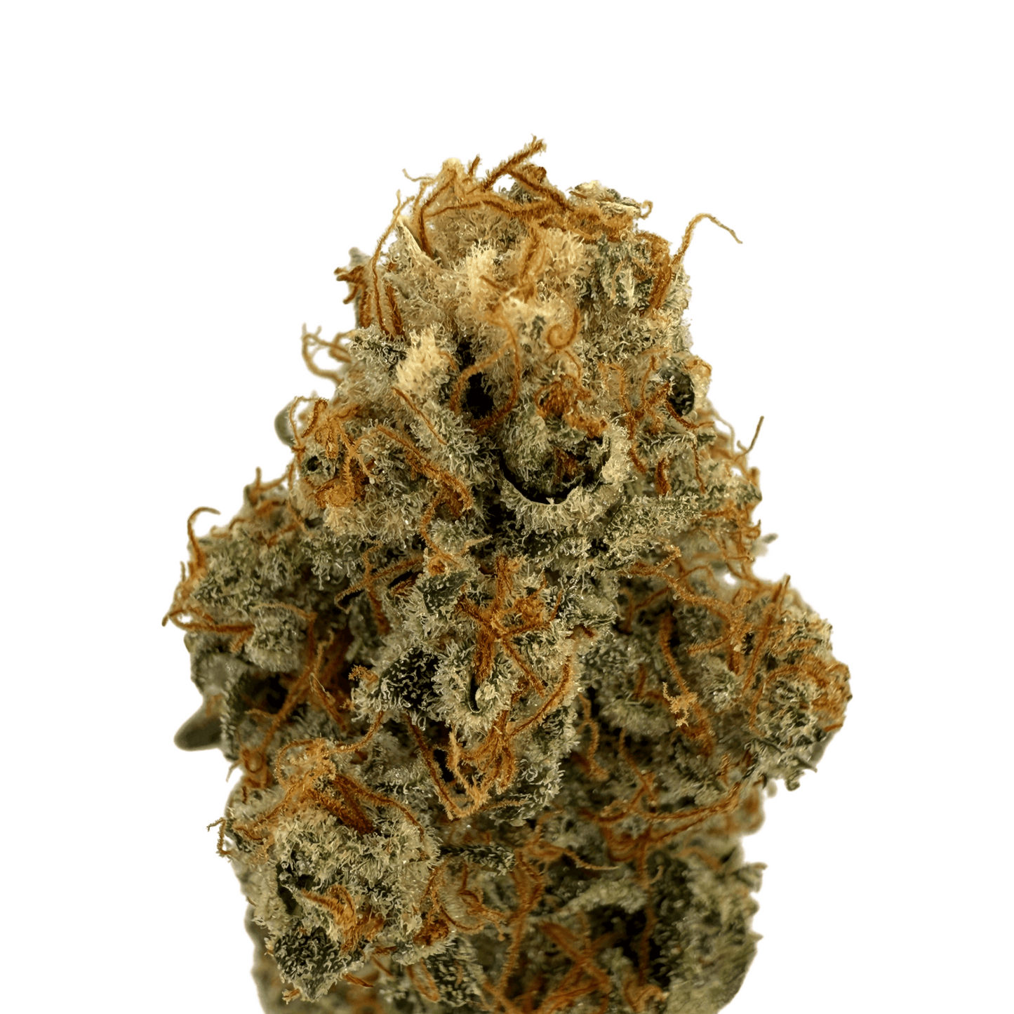 FRUIT DU DÉMON - FLEUR DE CBD INDOOR