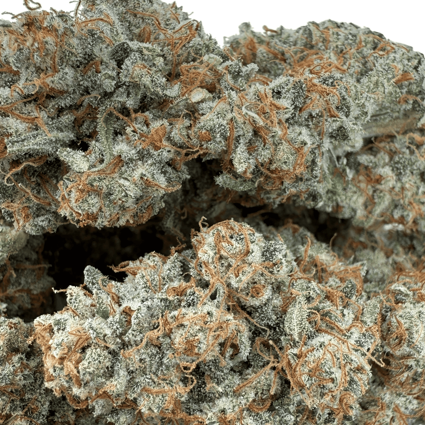 FRUIT DU DÉMON - FLEUR DE CBD INDOOR