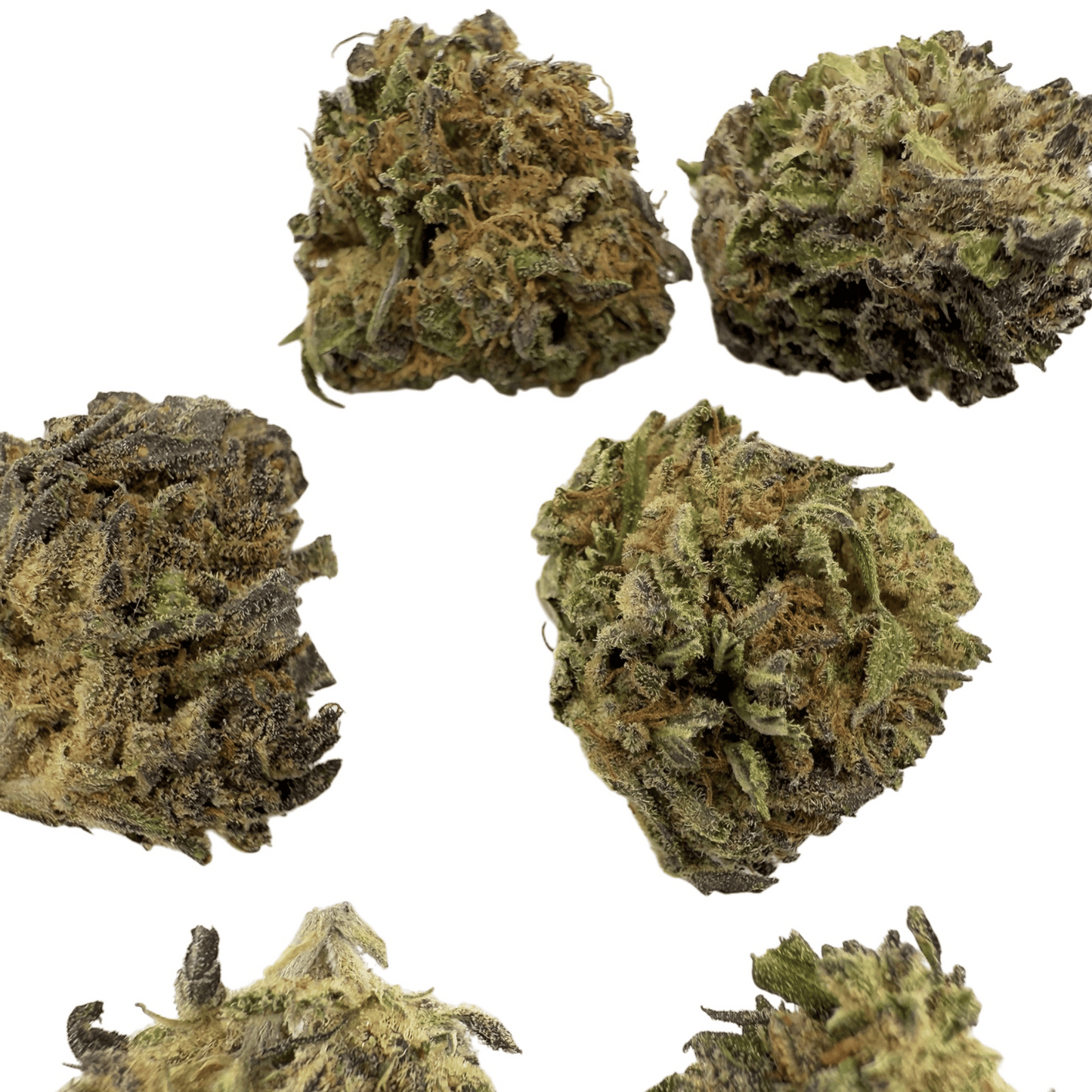 GOLDEN CHEESE – KLEINE BIO-CBD-BLÜTE
