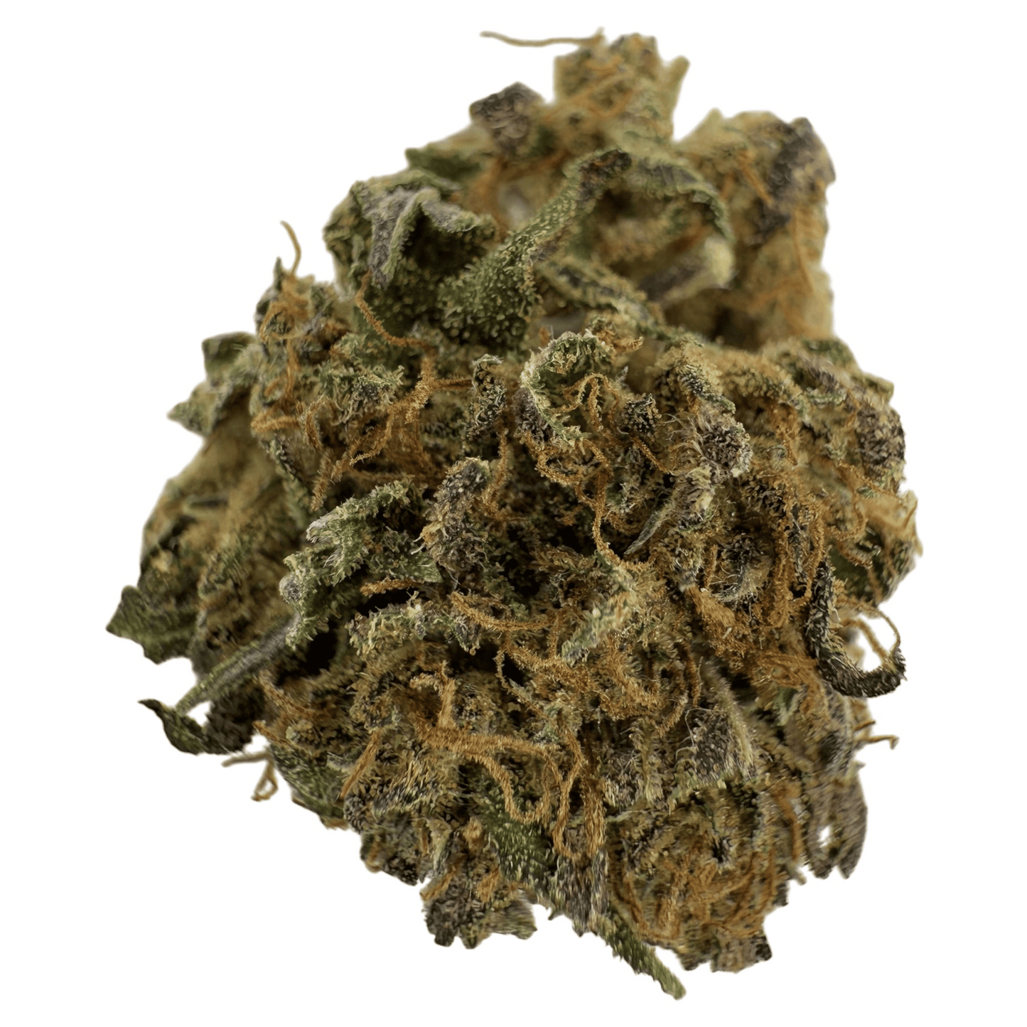 GOLDEN CHEESE – KLEINE BIO-CBD-BLÜTE