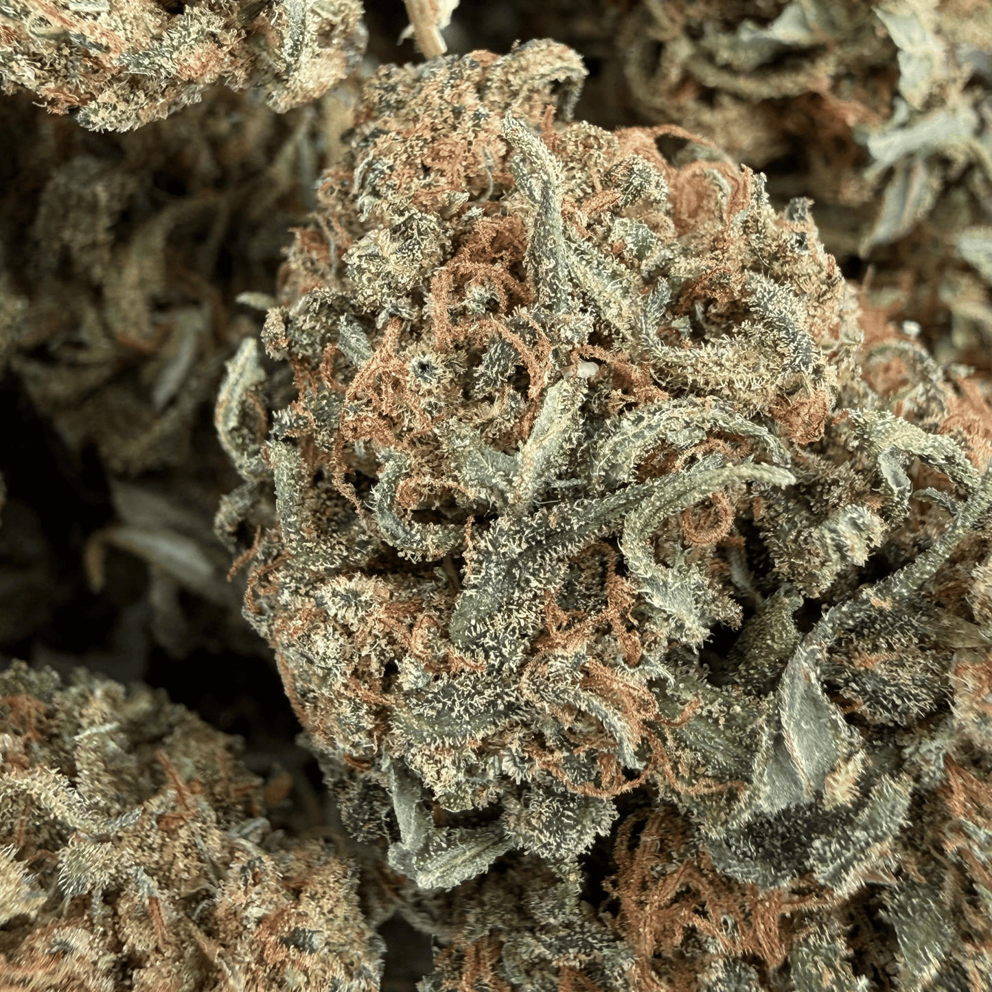 HELVETICA - FLEUR DE CBD BIO