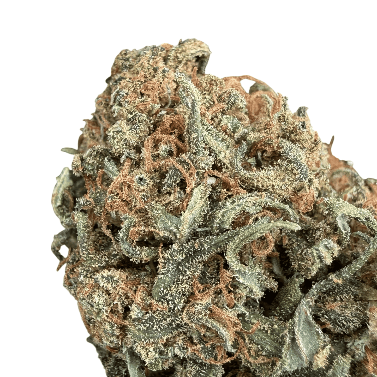 HELVETICA - FLEUR DE CBD BIO