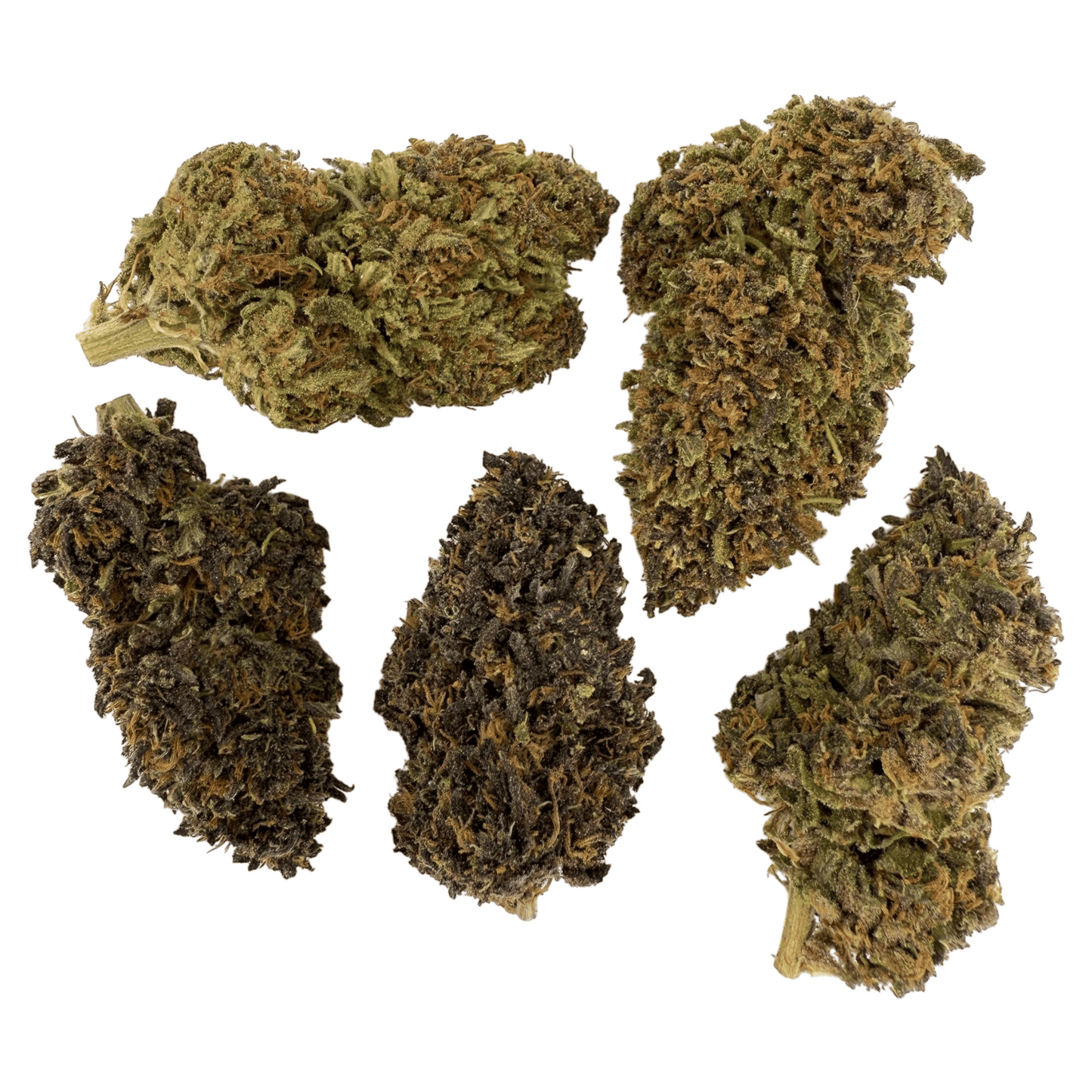 LEGENDARY PLATINUM OG - FLOR DE CBD ORGÁNICA