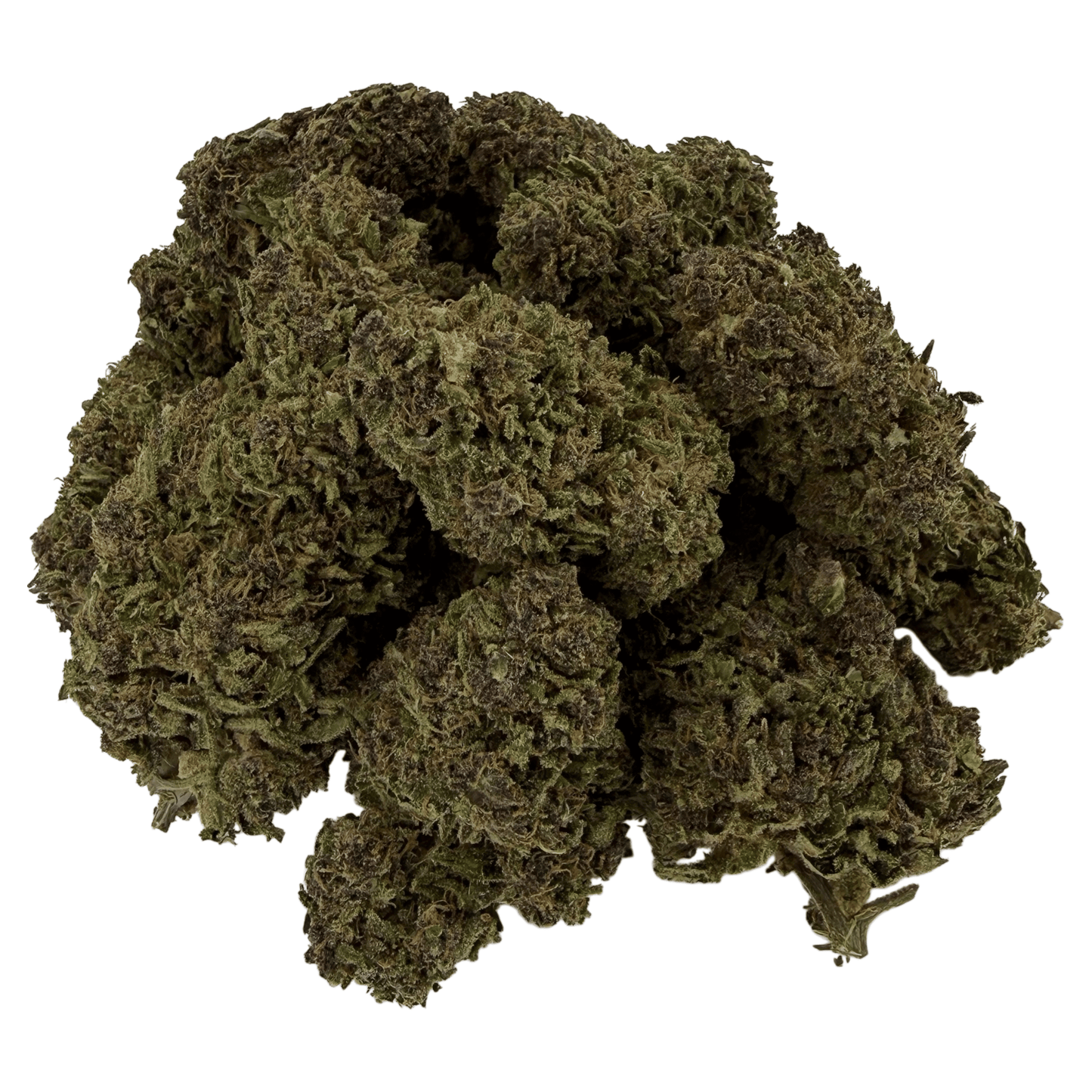 LEMON KUSH - FLEUR DE CBD BIO