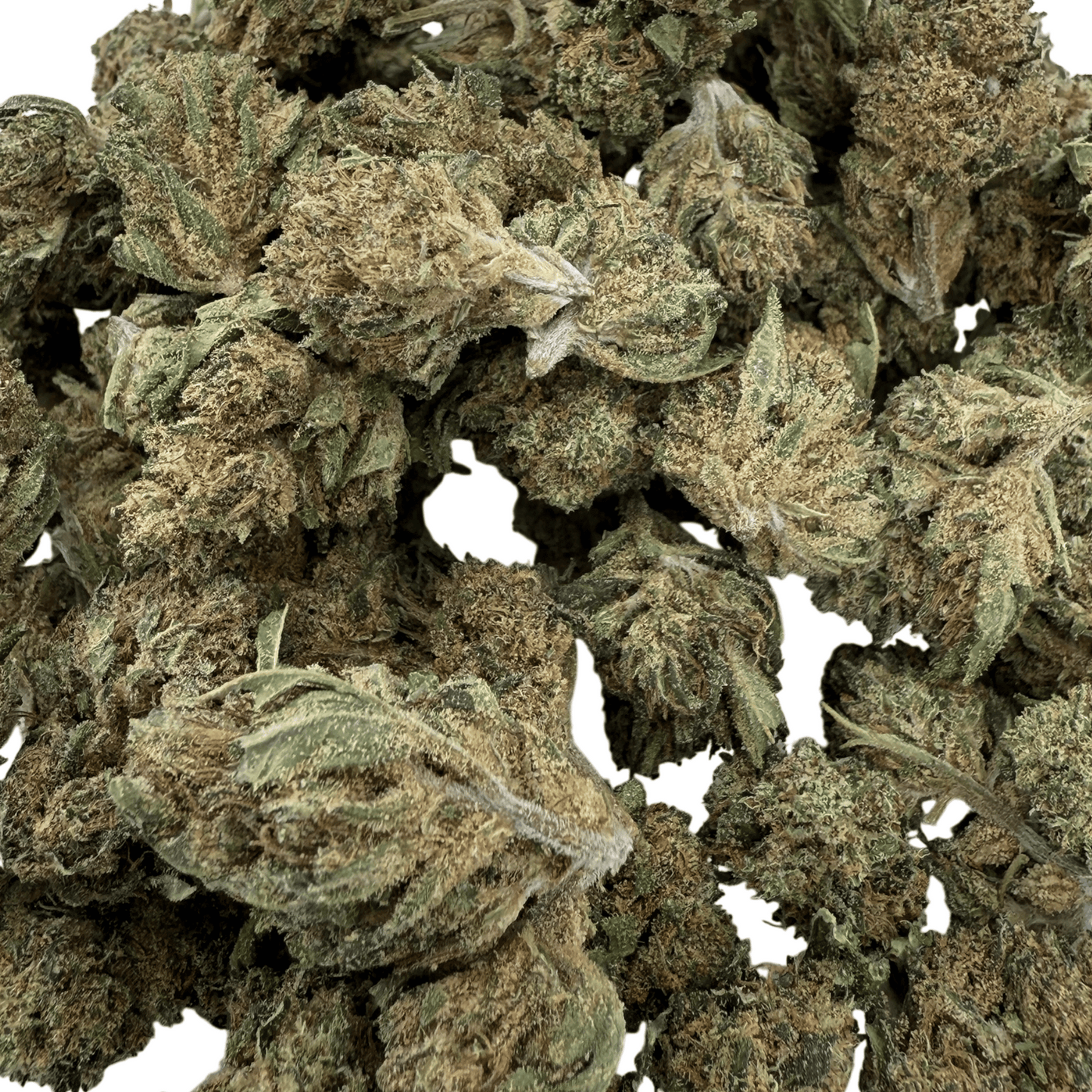 LEMON PIE - PETITE FLEUR DE CBD BIO