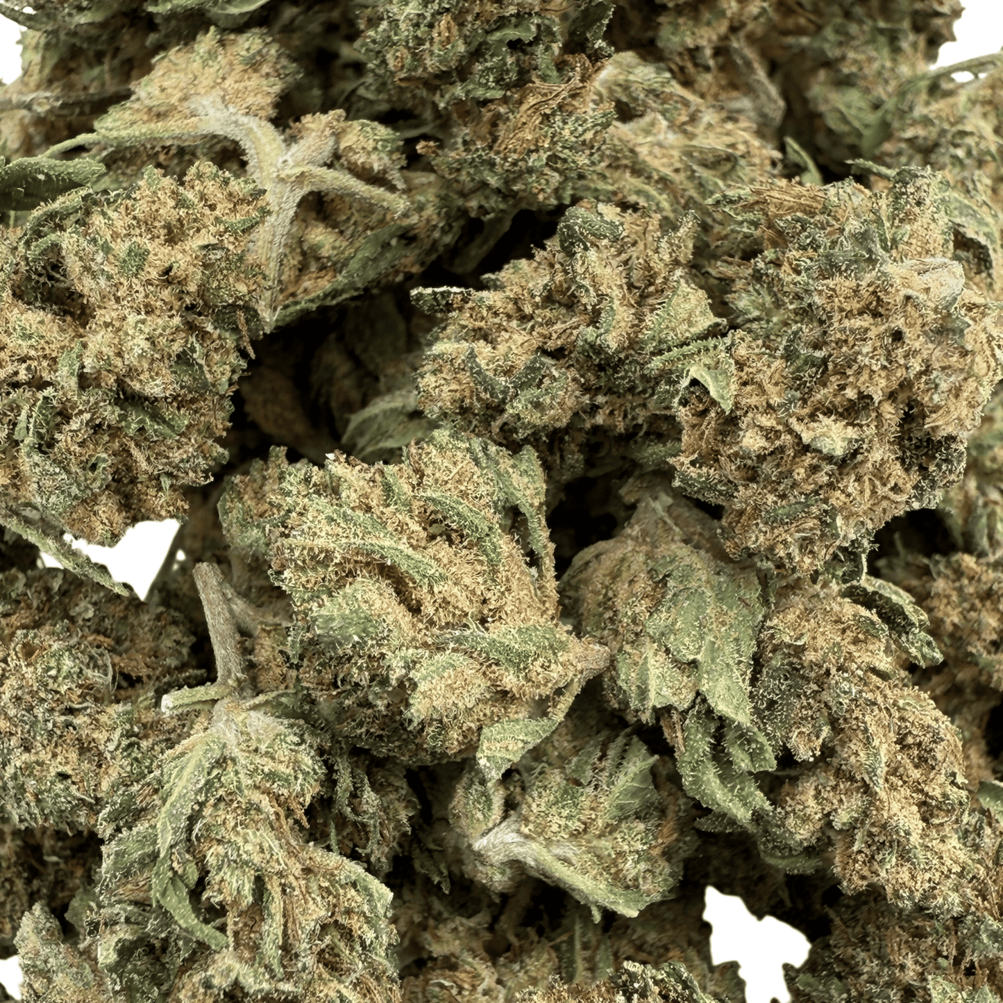 LEMON PIE - PETITE FLEUR DE CBD BIO