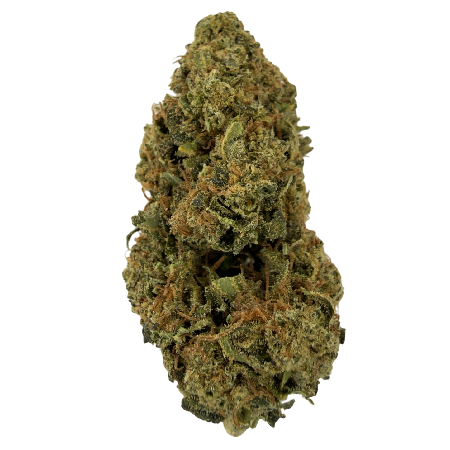 MANGO - FLEUR DE CBD BIO