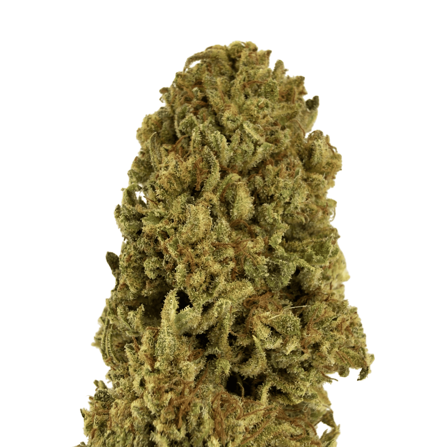 MANGO HAZE - FLOR DE CBD ORGÁNICO