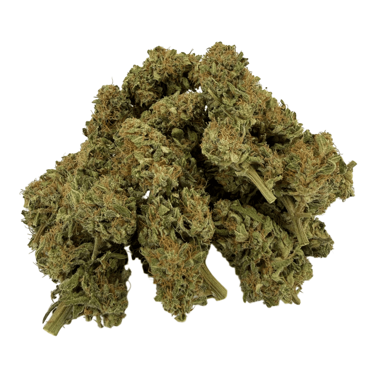OG KUSH - FLEUR DE CBD BIO