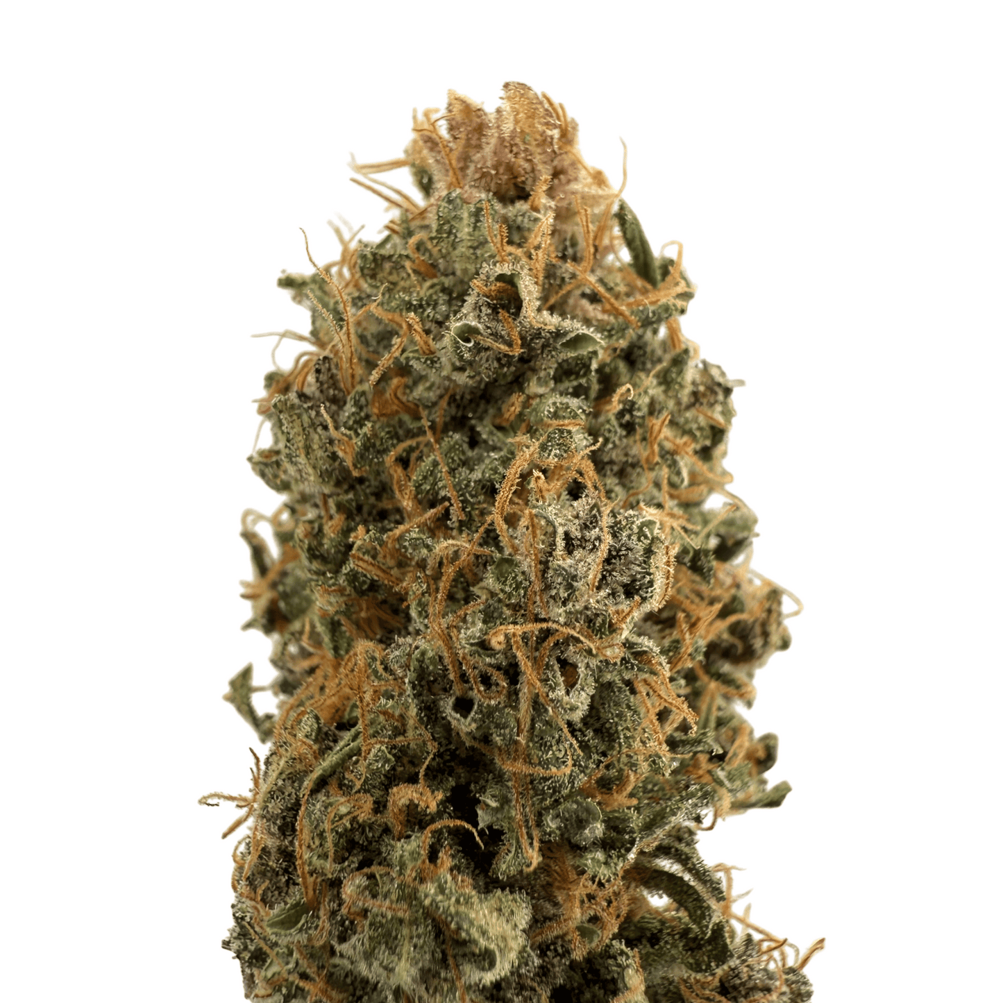 OCARINA OF GAZ - FLEUR DE CBD INDOOR