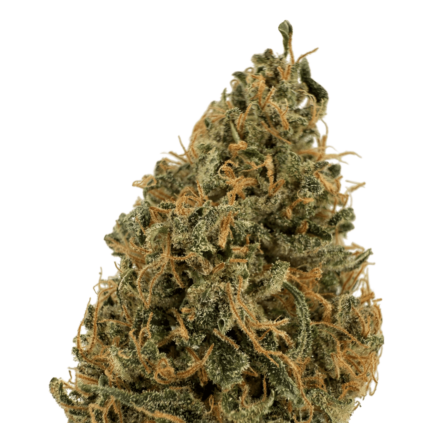 OCARINA OF GAZ - FLEUR DE CBD INDOOR