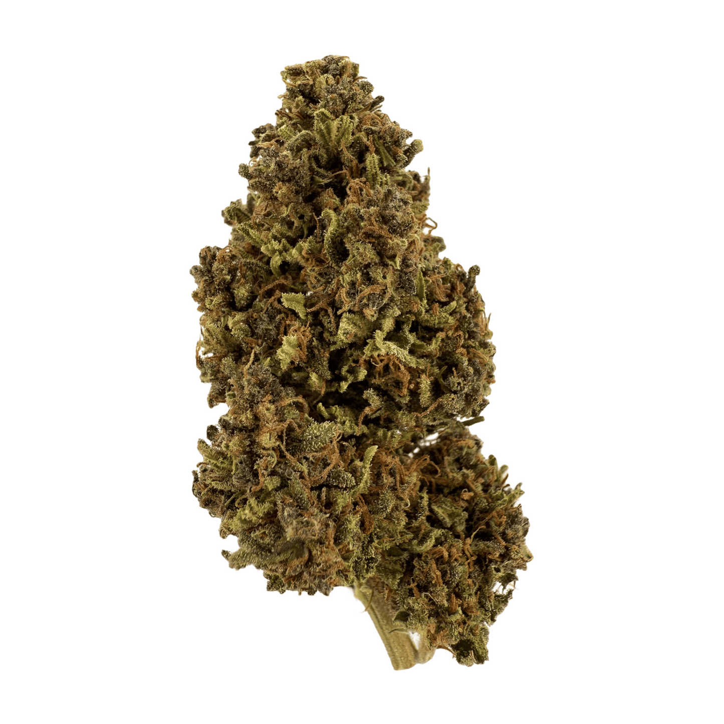 PINK PINEAPPLE – BIO-CBD-BLÜTE