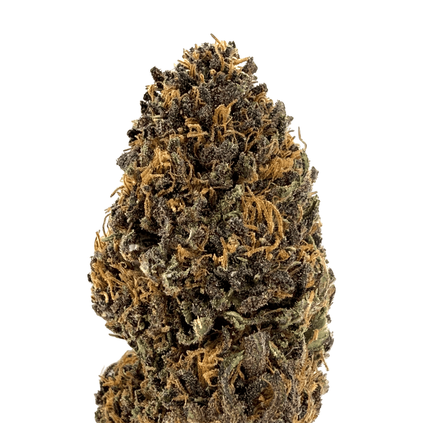 PLATINUM PANTHER – BIO-CBD-BLÜTE