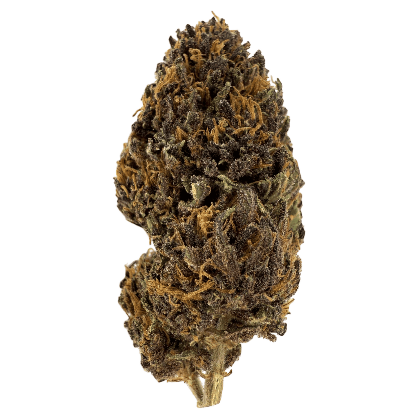 PLATINUM PANTHER – BIO-CBD-BLÜTE