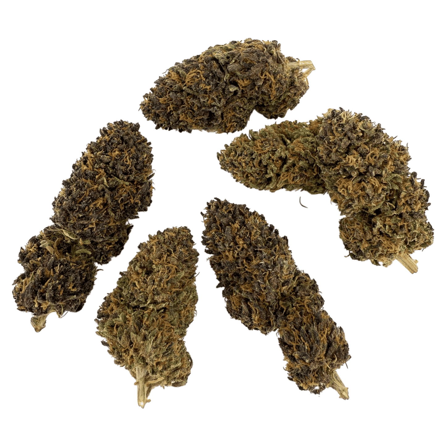 PLATINUM PANTHER – BIO-CBD-BLÜTE