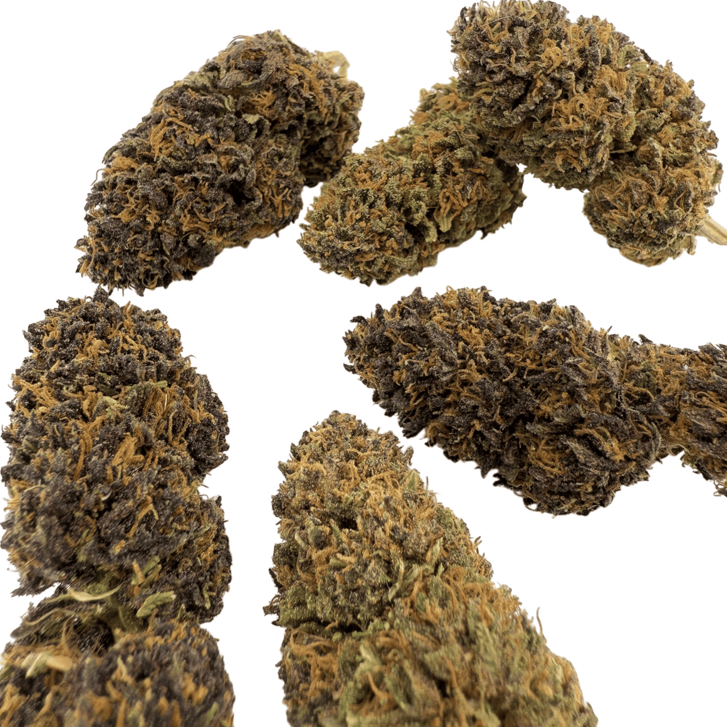 PLATINUM PANTHER – BIO-CBD-BLÜTE
