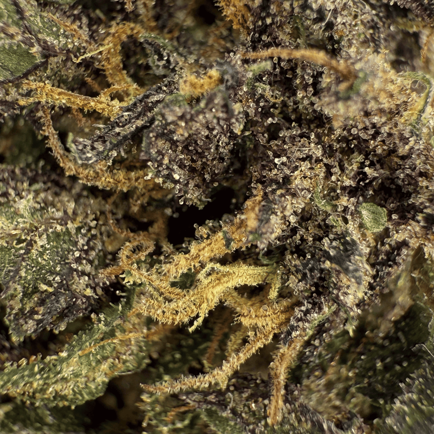 PURPLE HAZE - FLOR DE CBD ORGÁNICO