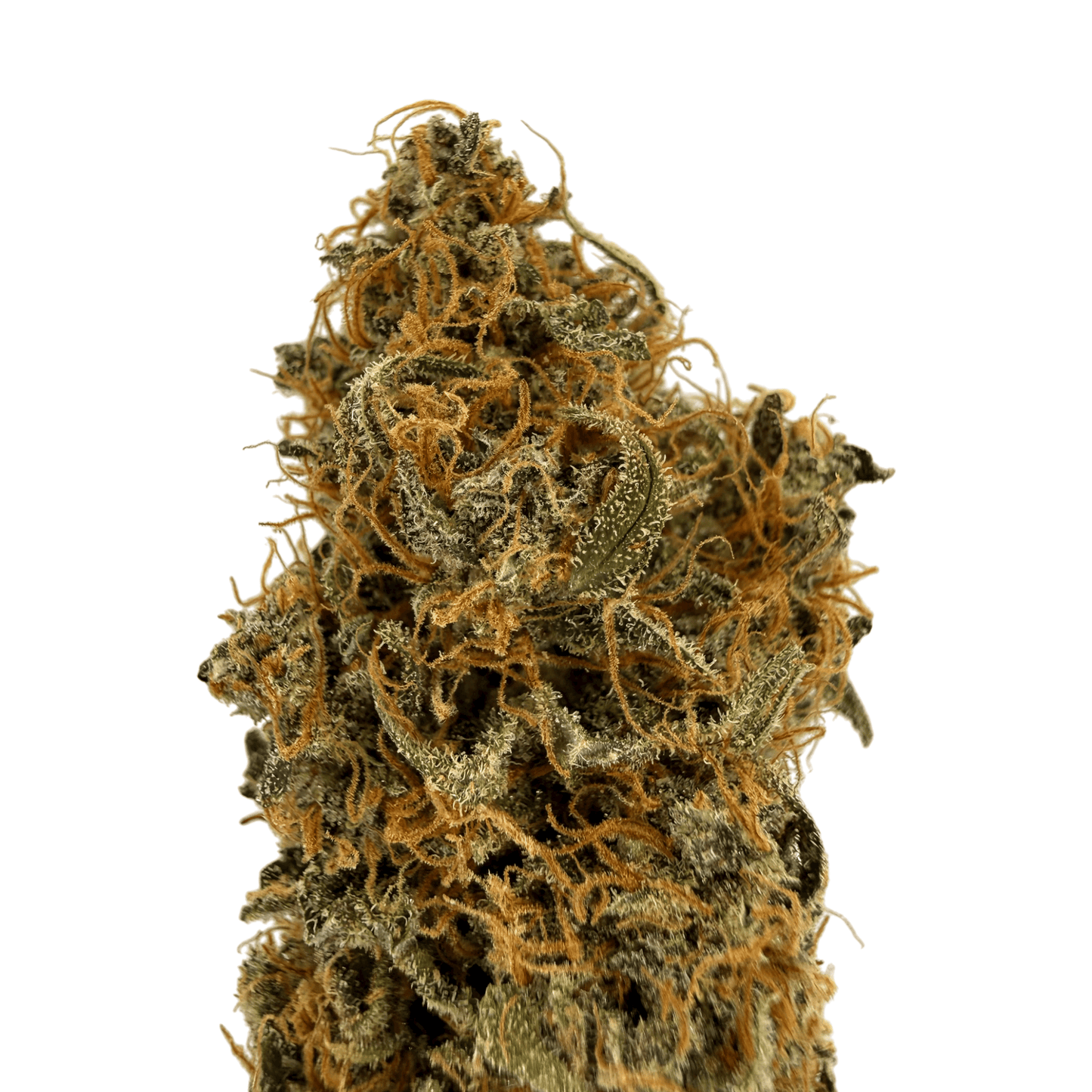 RAINBOW SHERBET - FLEUR DE CBD - INDOOR