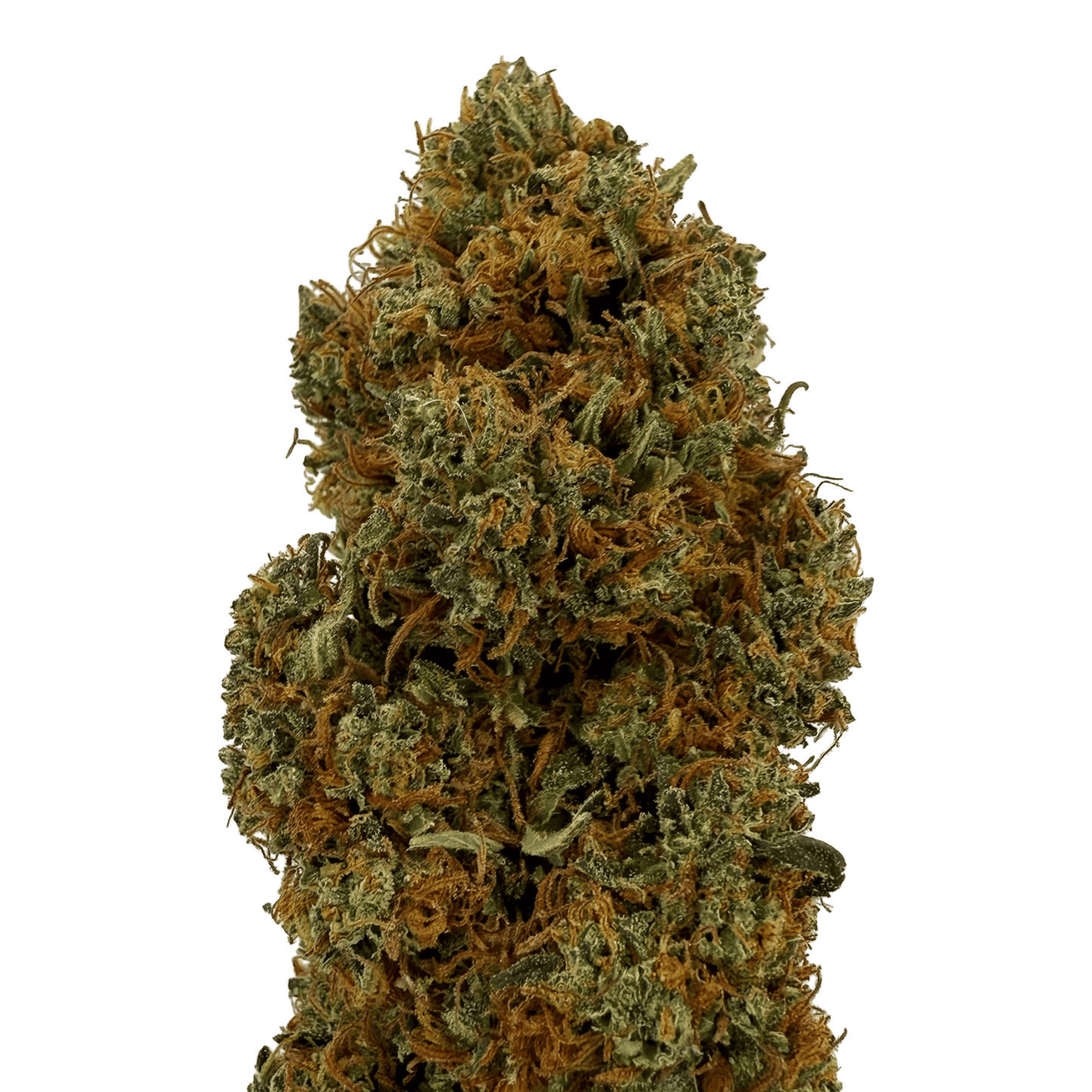 ROCKET SAUCE - FLEUR DE CBD BIO - LIGHT DEP