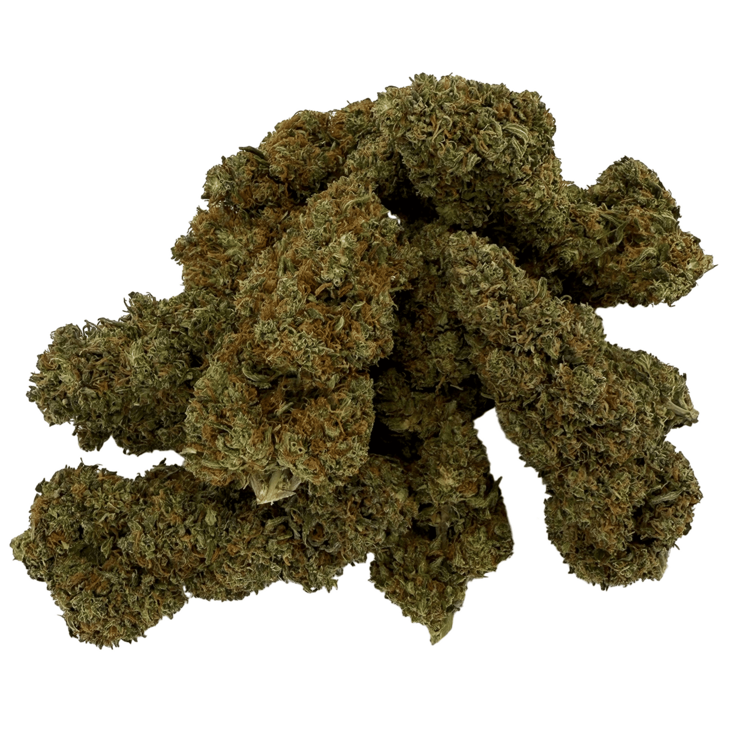 ROCKET SAUCE - FLEUR DE CBD BIO - LIGHT DEP
