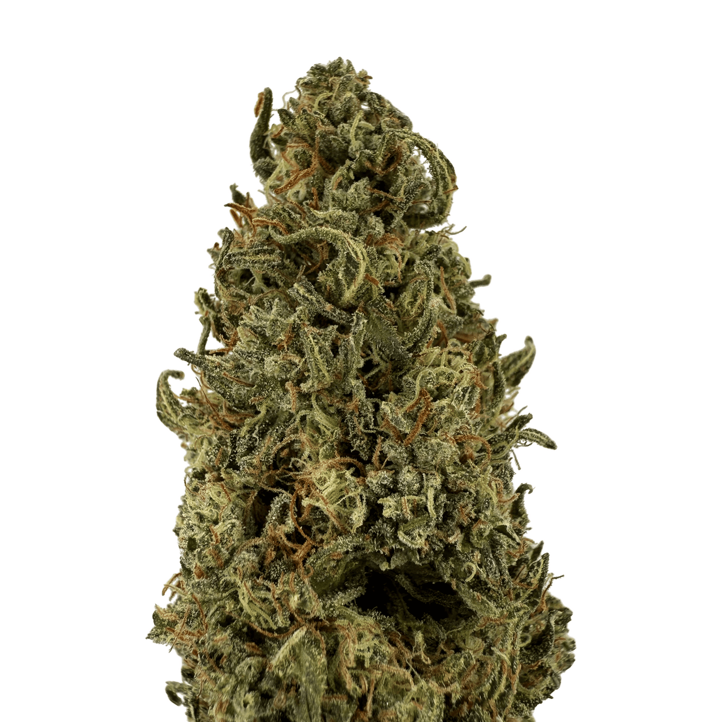 SKUNK JAM - FLEUR DE CBD BIO - LIGHT DEP