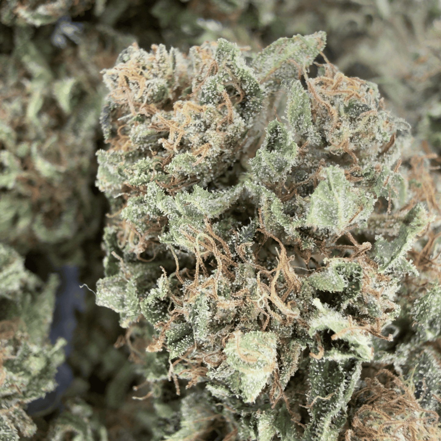 FRESA - FLOR DE CBD ORGÁNICA