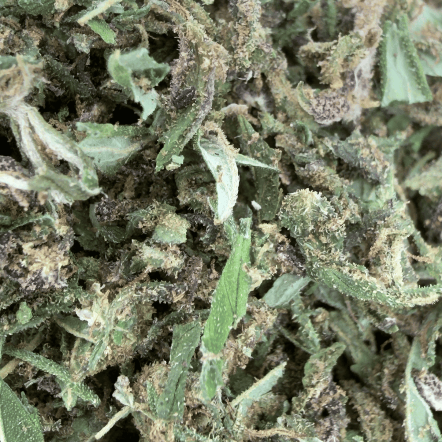 TRIM PREMIUM - FLEUR DE CBD BIO