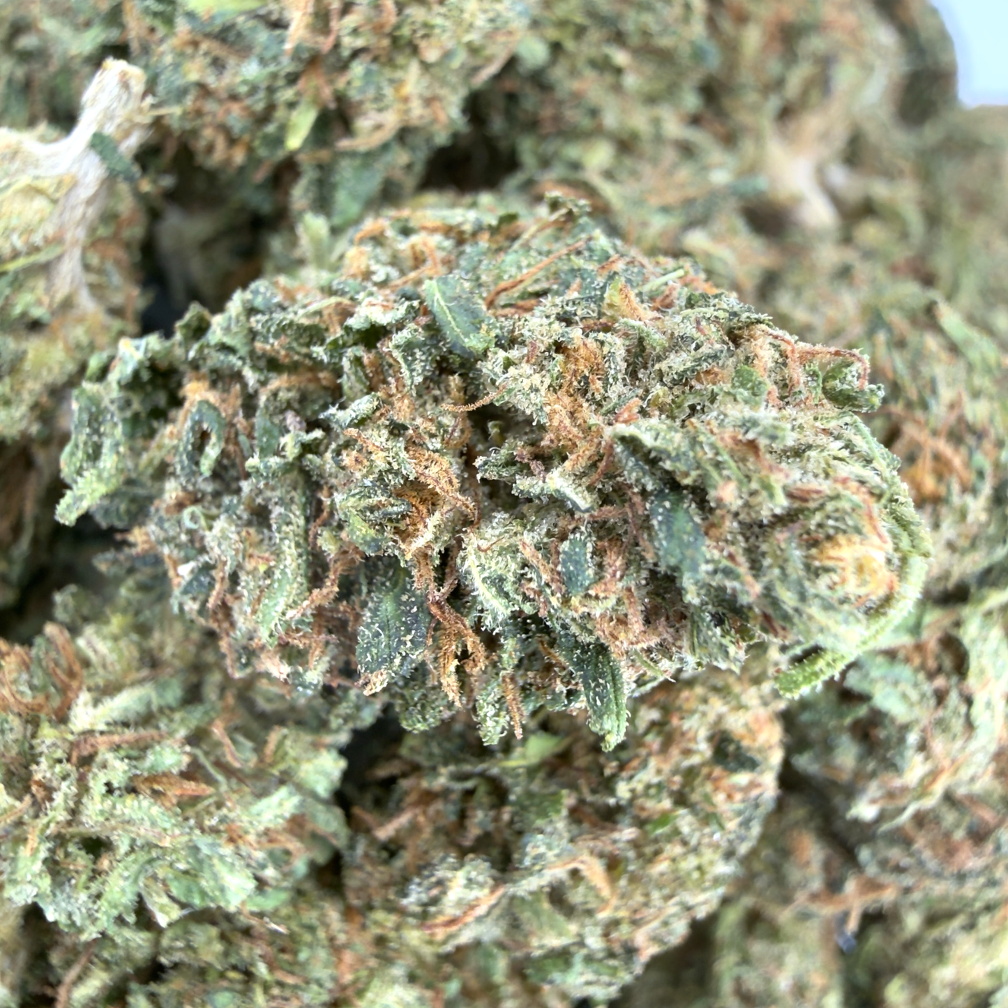 CAP ESTUAIRE – PETITES FLEURS DE CBD BIO
