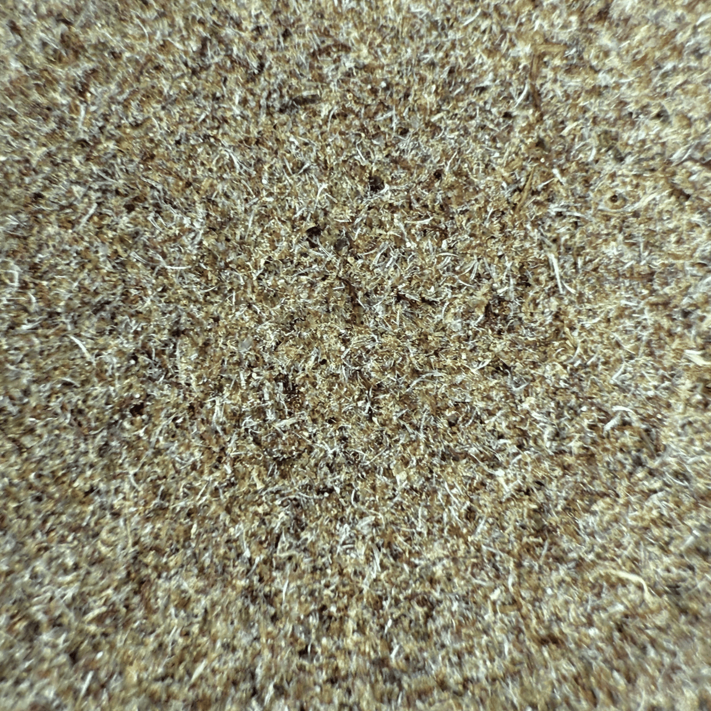 TROPICAL CBDV - RÉSINE DE CBDV (DRY SIFT)