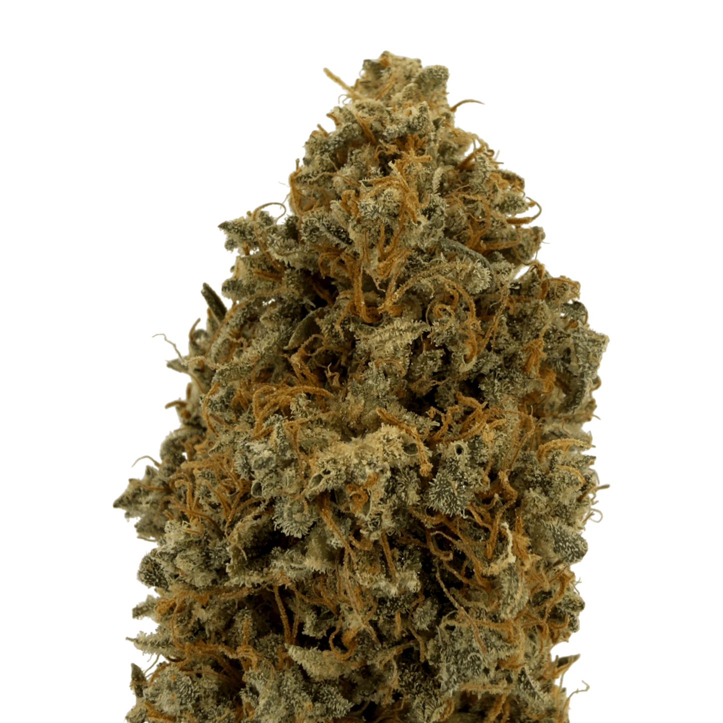 TROPIC SUNSET - FLEUR DE CBD - INDOOR