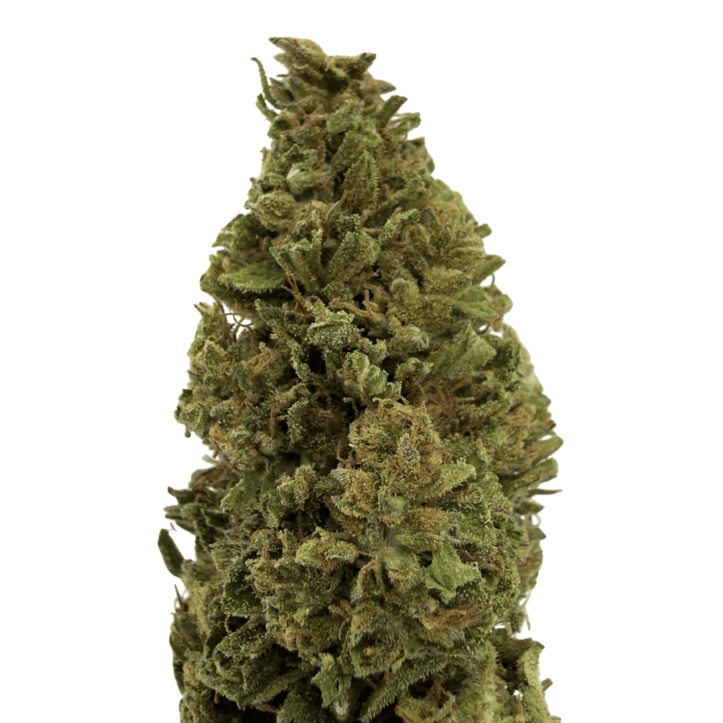 CHARLOTTE ANGEL’S - FLEUR DE CBD BIO