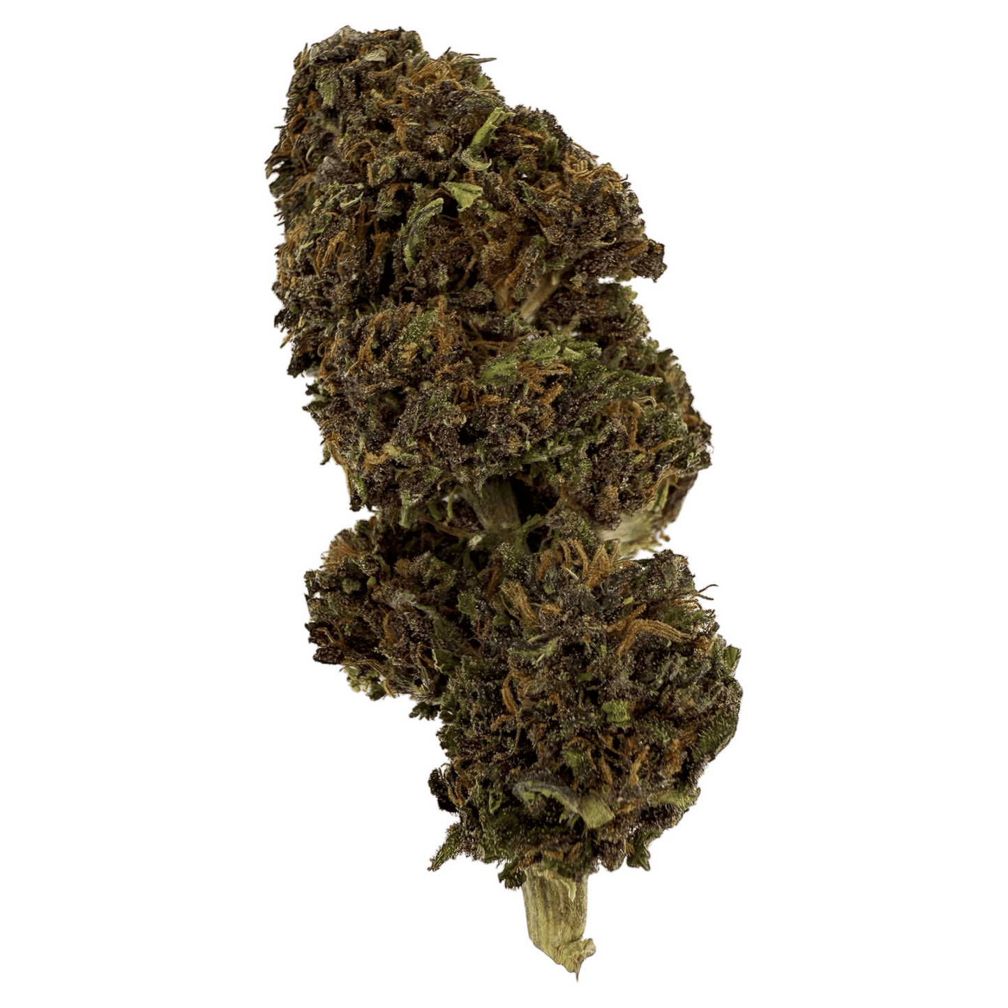 DOBLE GALLETA - FLOR DE CBD ORGÁNICO