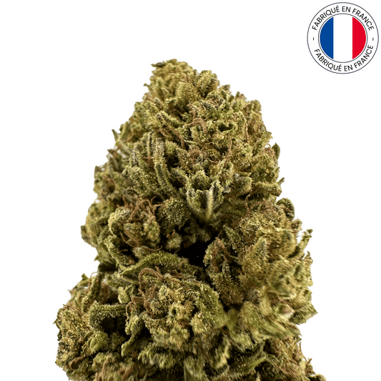 Golden Kush - Fleur de CBD bio (Amour de Chanvre)