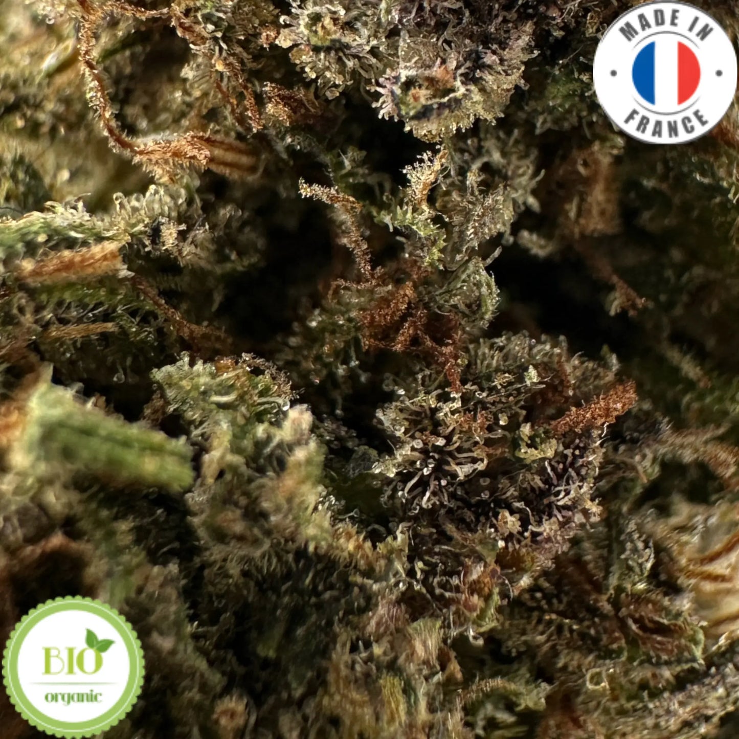 PINK SHARK - FLEUR DE CBD BIO La ferme en herbe
