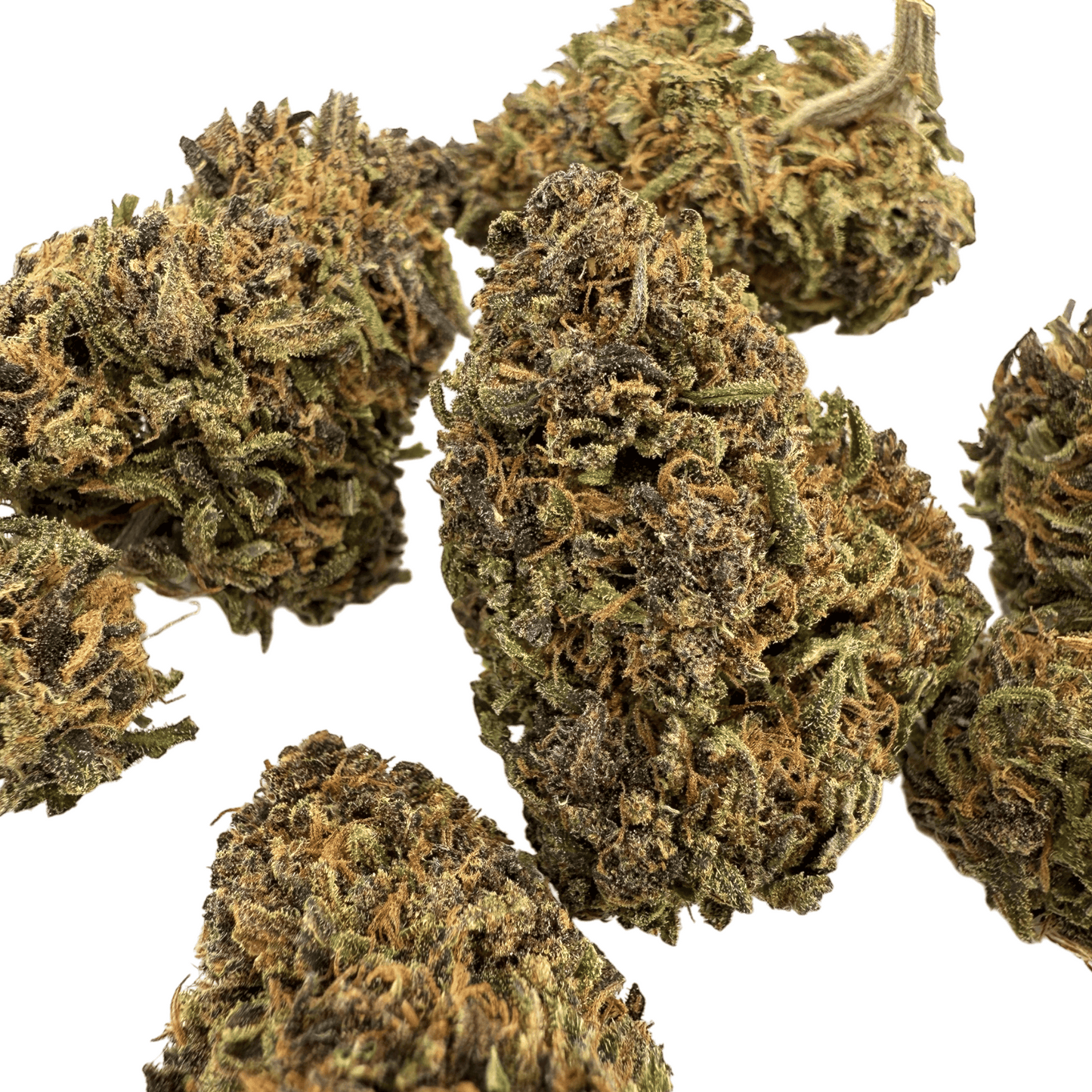 SAPPHIRE KUSH – BIO-CBD-BLUME