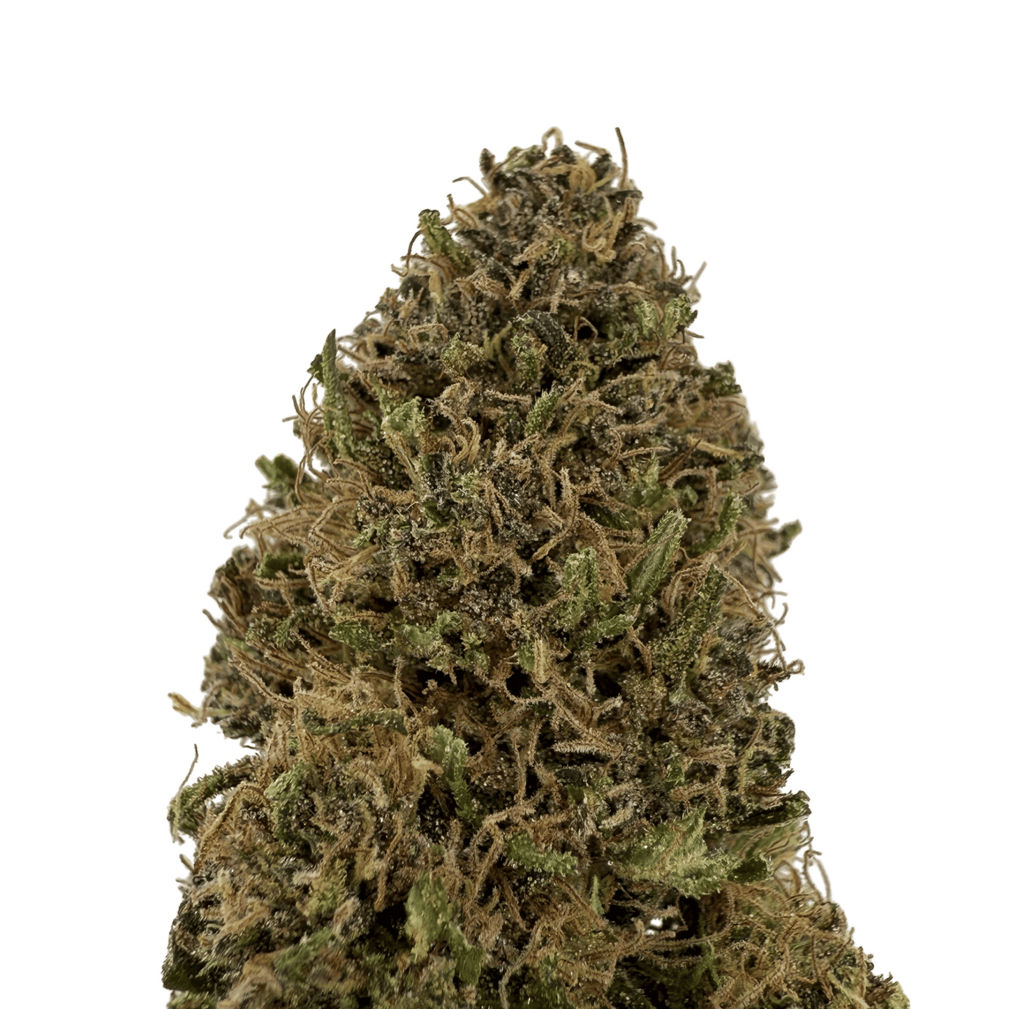 SOUR DIESEL - FLEUR DE CBD BIO