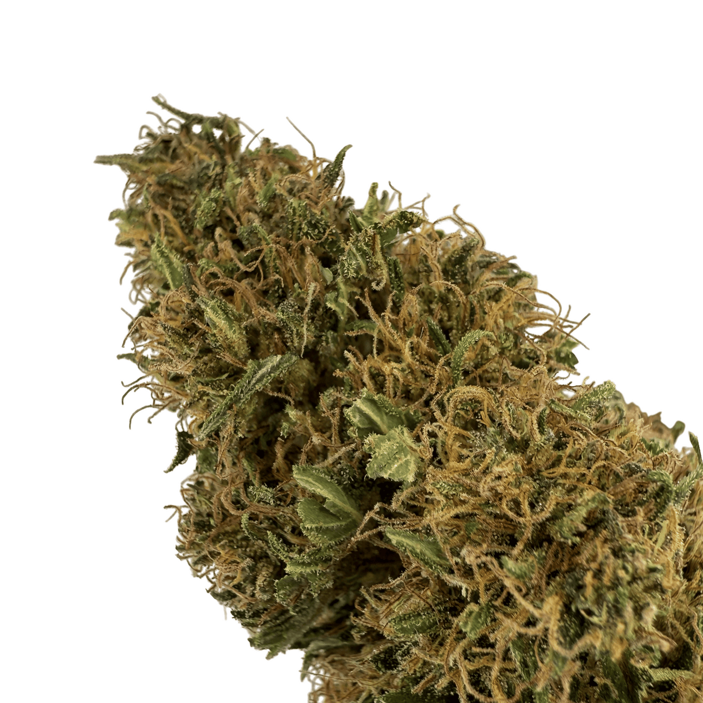 SOUR DIESEL - FLEUR DE CBD BIO